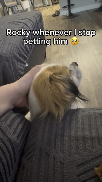 Doggy