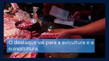 Vídeo - Produção de carnes no Brasil deve atingir 33,38 milhões de toneladas em 2026