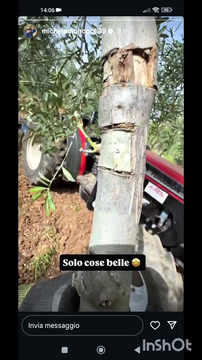 Michele monopoli story si lavora in campagna