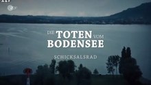 Die Toten vom Bodensee -24- Schicksalsrad