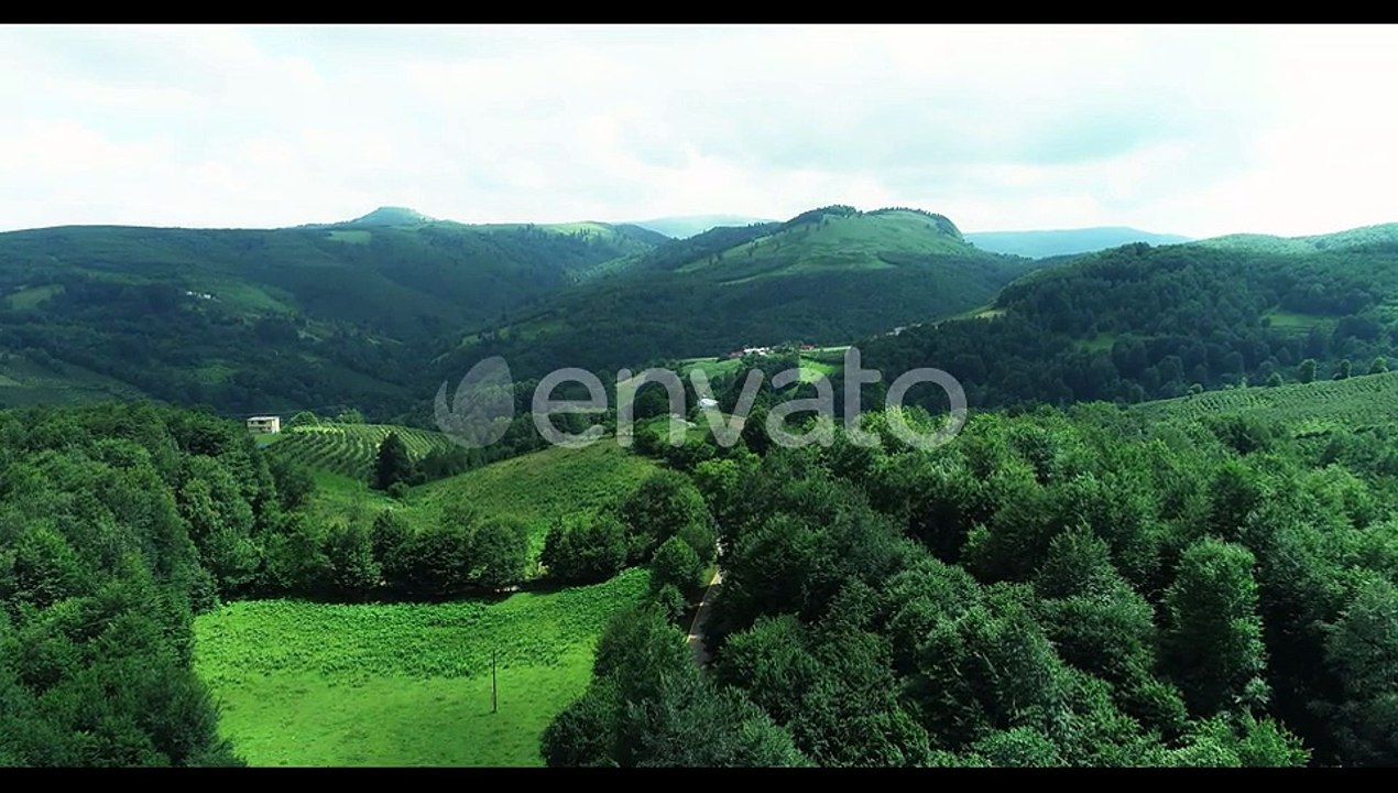Green Nature Forest And Mountains Aerial View