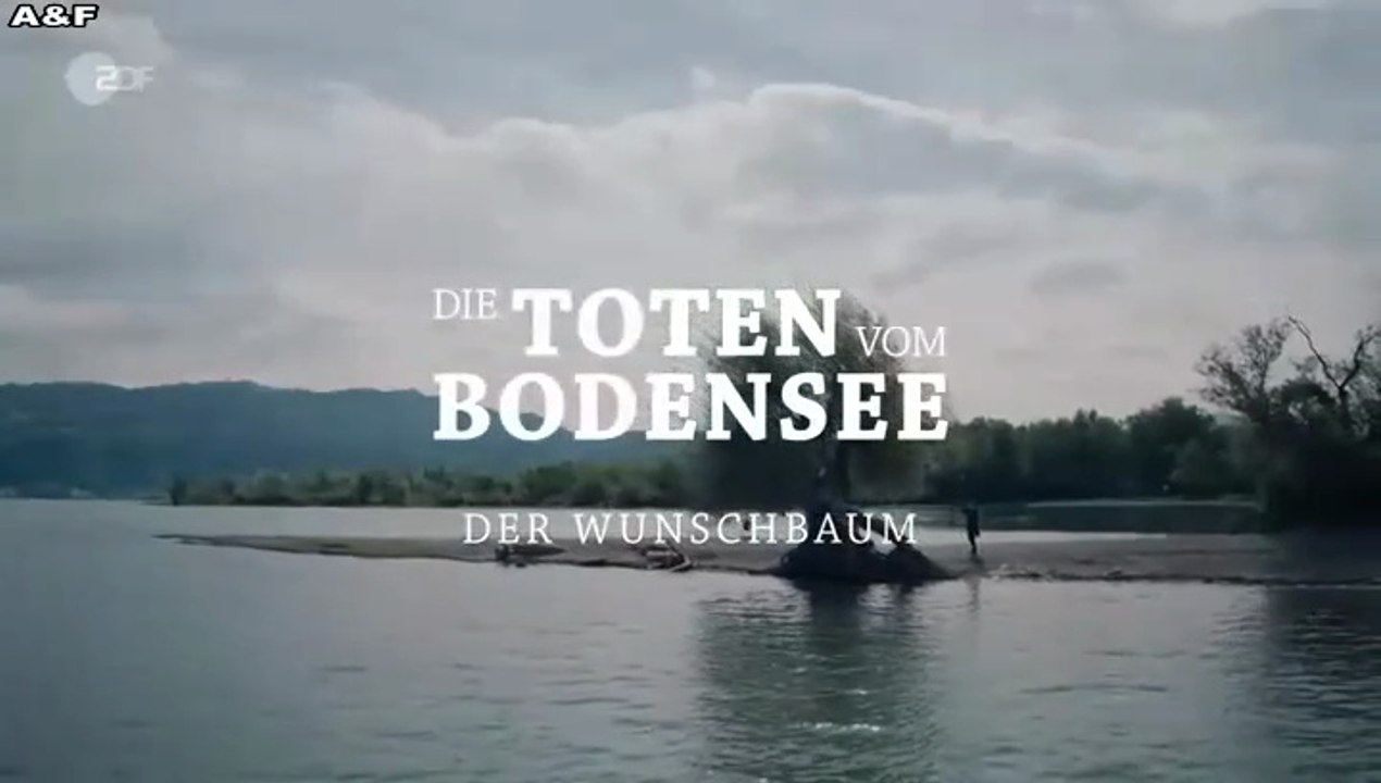 Die Toten vom Bodensee -23- Der Wunschbaum