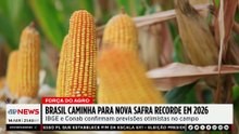 Brasil projeta safra recorde para 2026 e deve bater novo recorde de produção de grãos