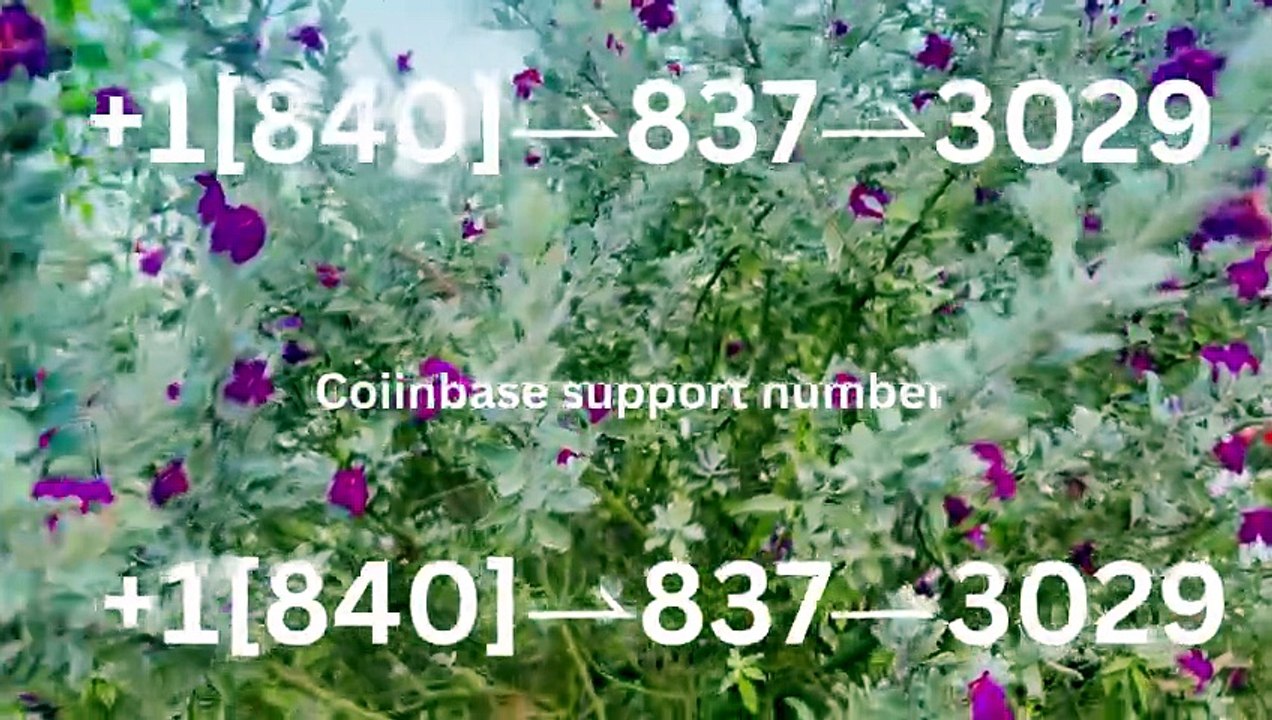 ®=®=®[ [OFFICIAL®] ] Coinbase CUSTOMER SERVICE℠ Hotline —Complete Methods