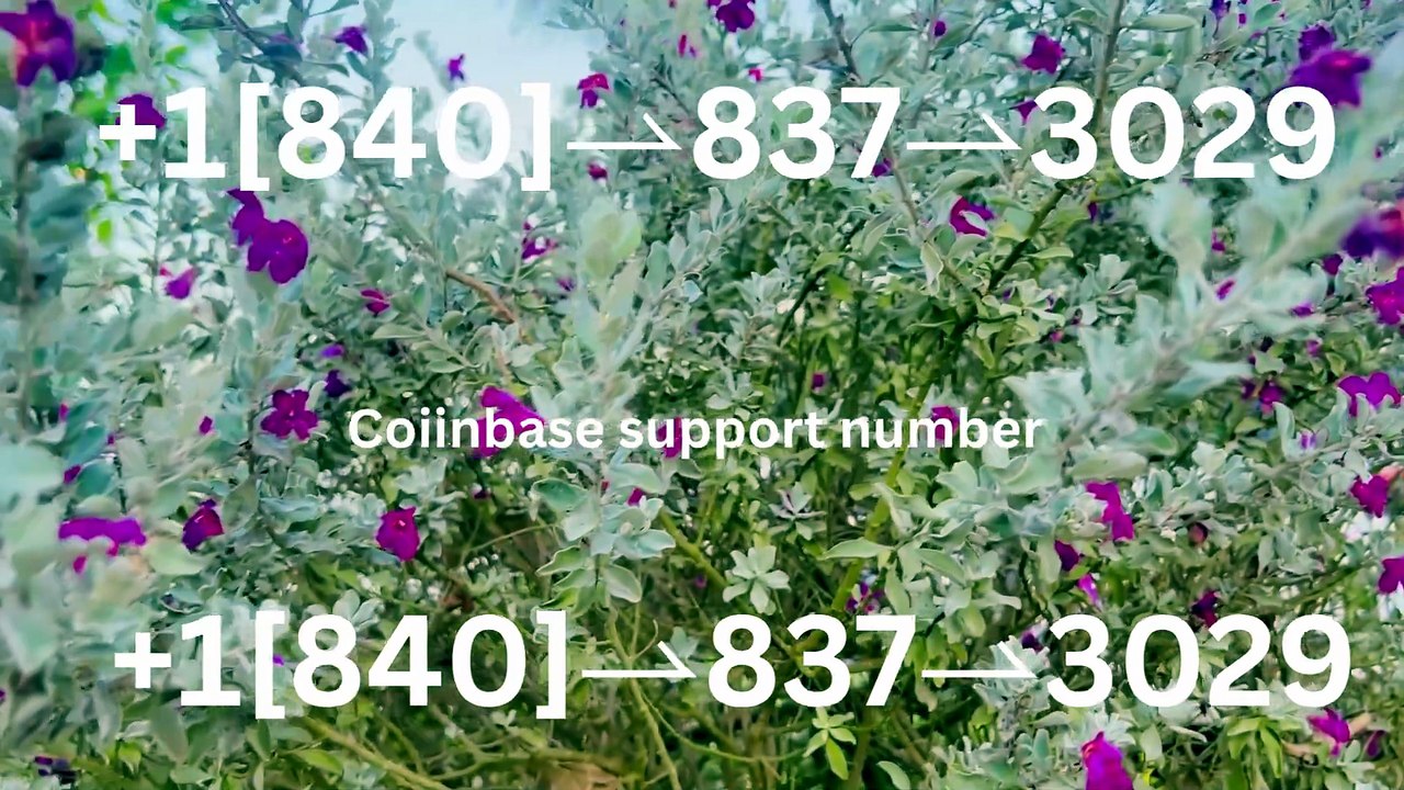 Complete List of Official Coinbase Customer Service Number, HELP-DESK Helpline 24/7
