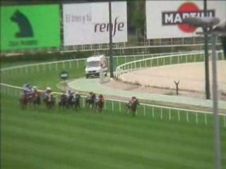 2008 (156) Premio NESPRESSO (SWEET DIANE)