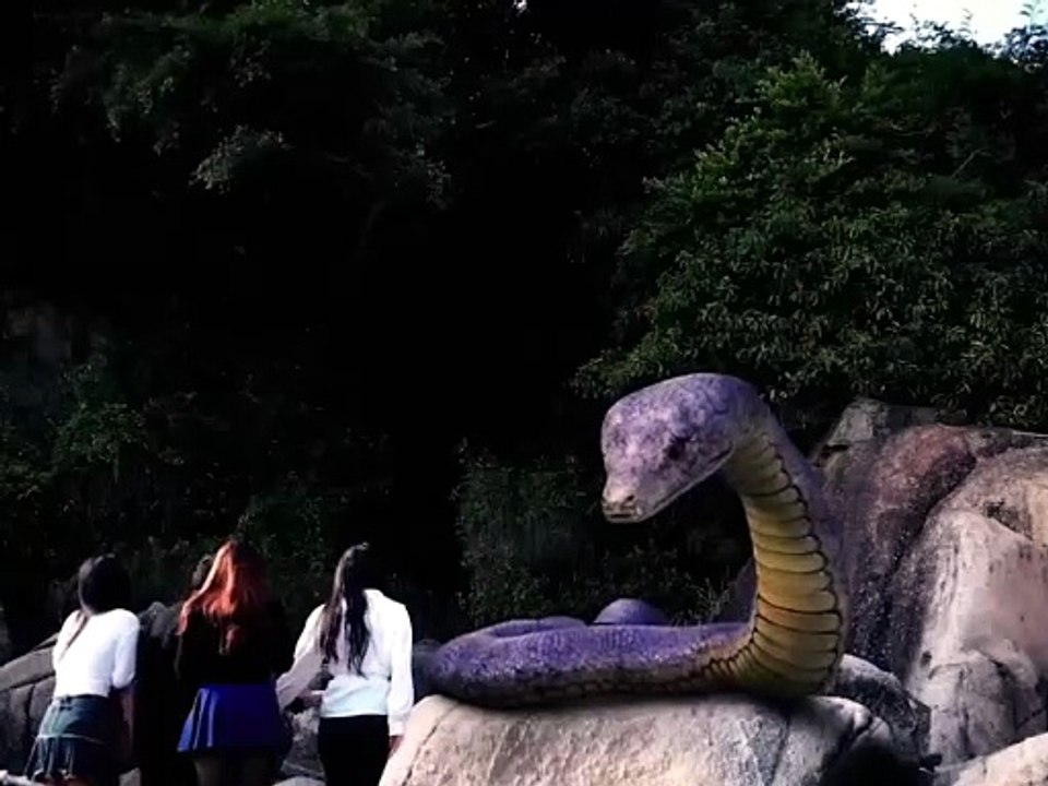 🐍 Their Arrival Awakened a GIANT Python… What Happened Next Is TERRIFYING 😱