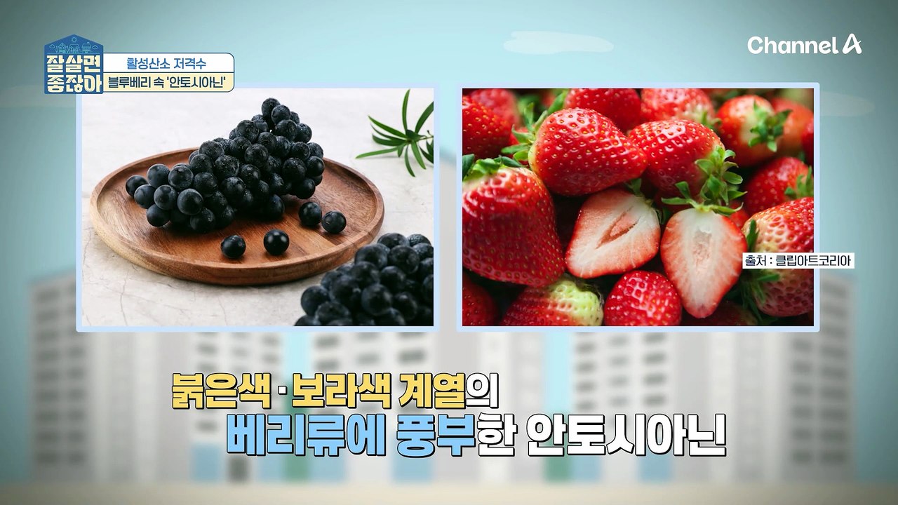 혈관 노화를 막는 항산화 스위치의 정체는? 세계 10대 슈퍼푸드 블루베리!