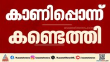 പന്തളം വലിയ കോയിക്കൽ ക്ഷേത്രത്തിൽ നിന്ന് കാണാതായ കാണിപ്പൊന്ന്  കണ്ടെത്തി