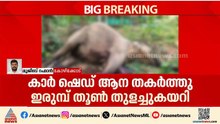 കാർ ഷെഡ് തകർത്ത ആനയുടെ ശരീരത്തിൽ ഇരുമ്പ് തൂൺ തുളച്ചുകയറി; കാട്ടാന ചെരിഞ്ഞത് ഇങ്ങനെ