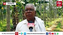 22 ಎಕರೆಯಲ್ಲಿ 20 ರೀತಿಯ ಬೆಳೆ! ಖಾಸಗಿ ಕೆಲಸ ಬಿಟ್ಟು ಕೃಷಿಯಿಂದ ತಾನೇ ಬಾಸು; ದಾವಣಗೆರೆ ರೈತನಿಗೆ ಕೈ ತುಂಬಾ ಕಾಸು