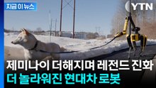 개 산책시키는 로봇개...감탄만 나오는 현대차 로봇 성능 [지금이뉴스] / YTN
