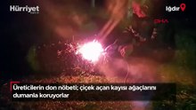 Üreticilerin don nöbeti; çiçek açan kayısı ağaçlarını dumanla koruyorlar