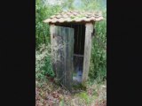 LA CABANE AU FOND DU JARDIN