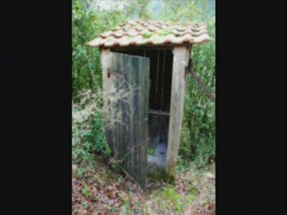 LA CABANE AU FOND DU JARDIN
