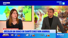 Bonjour Lille du mercredi 15 avril 2026