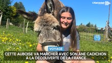 Cette Auboise va marcher avec son âne Cadichon  à la découverte de  la France