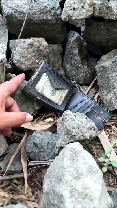 Wow found dollars  #foundphone #foundmoney #dollars #money #reels