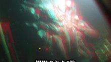 魔の海域と恐れられる ミシガン・トライアングルで 目撃された未確認生物