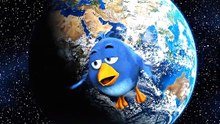 Bro accidentally deleted gravity 😂 #talkingbirds