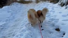 La nieve cubre algunas zonas de puestro país
