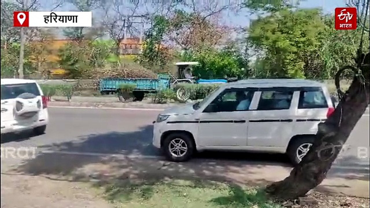 रेवाड़ी में सरसों तेल मिल में मिला युवक का शव, हत्या या सुसाइड, जांच में जुटी पुलिस