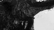 👻 Un perro fantasma que aterra desde hace más de 400 años...