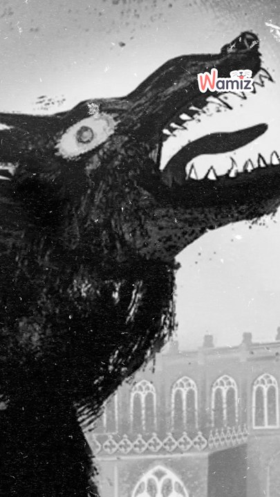 👻 Un perro fantasma que aterra desde hace más de 400 años...