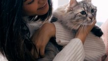 Suecia aplica una ley estricta en materia de bienestar animal que contempla que los gatos no pueden estar solos durante todo un día. 🐱