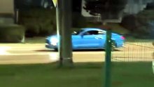 Já vimos de tudo. Vídeo viral mostra robô a afugentar javalis na Polónia