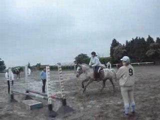 appaloosa