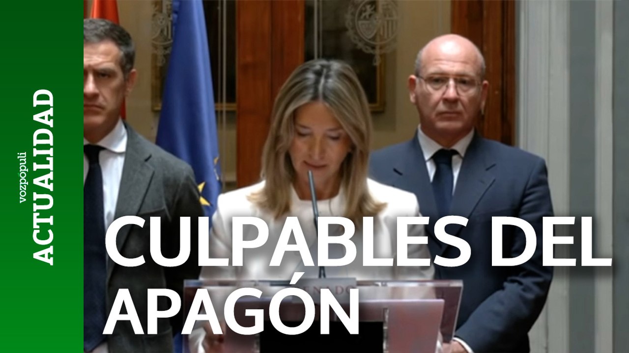 El Senado señala como culpables del apagón a Red Eléctrica, el Gobierno y la CNMC