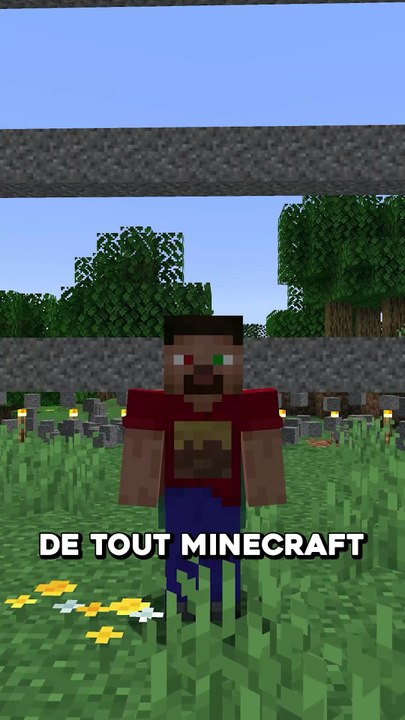 Les choses SATISFAISANTES de Minecraft