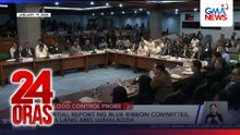 Partial report ng Blue Ribbon Committee, 4 pa lang ang lumalagda | 24 Oras