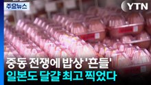 중동 전쟁에 밥상 '흔들'...일본도 달걀 최고 찍었다 / YTN