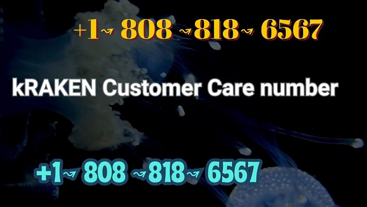 [~UPDATED_2026] KRakEN~ Tech Support Center – Official Help & Contact Guide