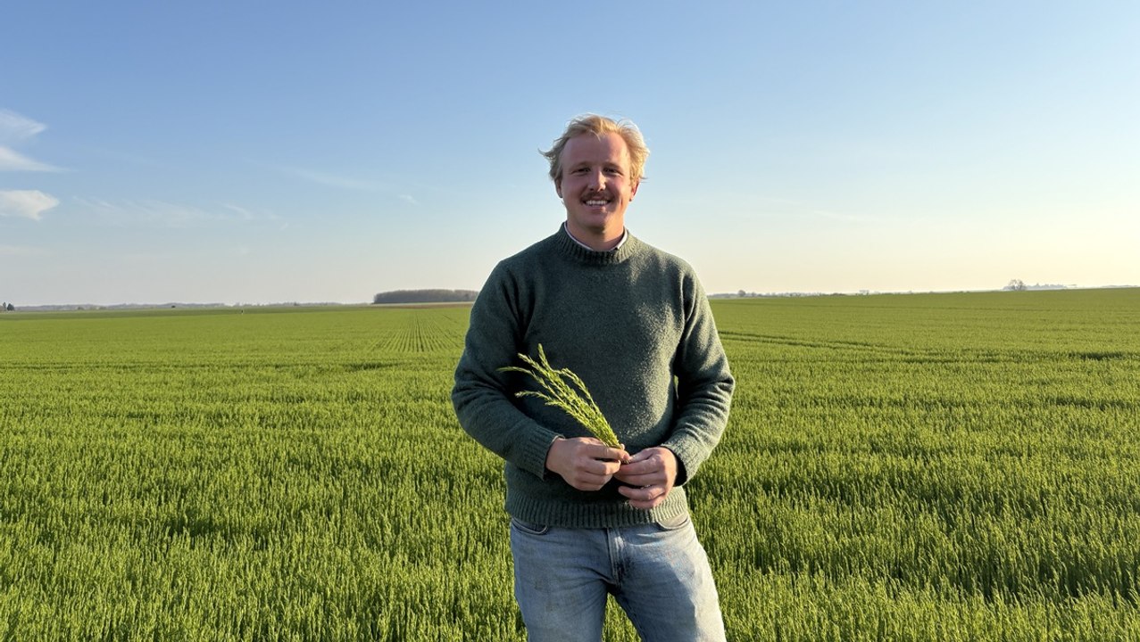 Vianney Sainte-Beuve, jeune agriculteur : « Fai...