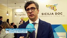 Vinitaly, Sicilia Doc: vogliamo avvicinare il vino ai giovani