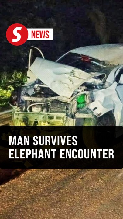 Man survives after car collides with elephant in Kluang