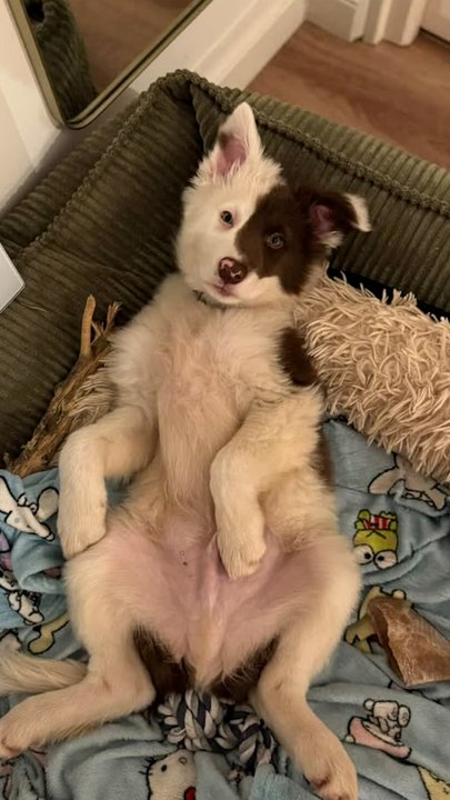 Hättet ihr es auch so gemacht? 💞