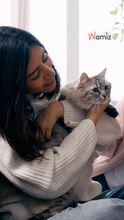 Wie findet ihr das Vorgehen der Schweden?