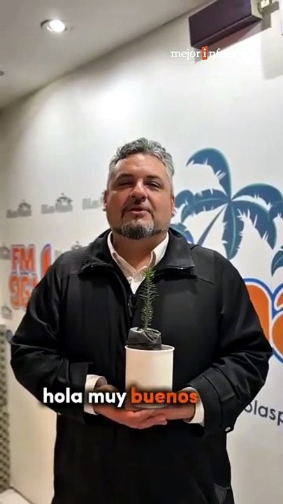 🌱 Invitan a sembrar piñones en las escuelas este 22 de abril