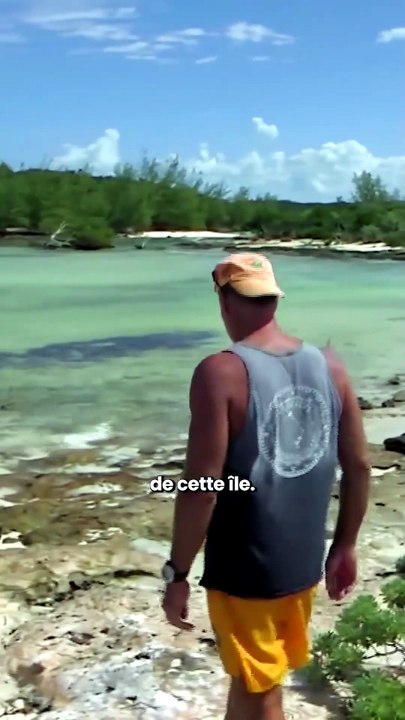 Les trésors cachés de l’île révélés par son guide 🌍