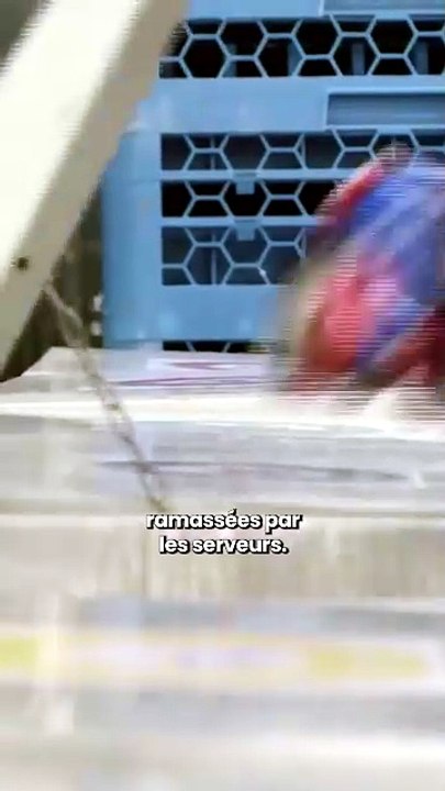 Derrière le rêve, une pollution massive  ce que les croisières laissent dans l’océan 🌊