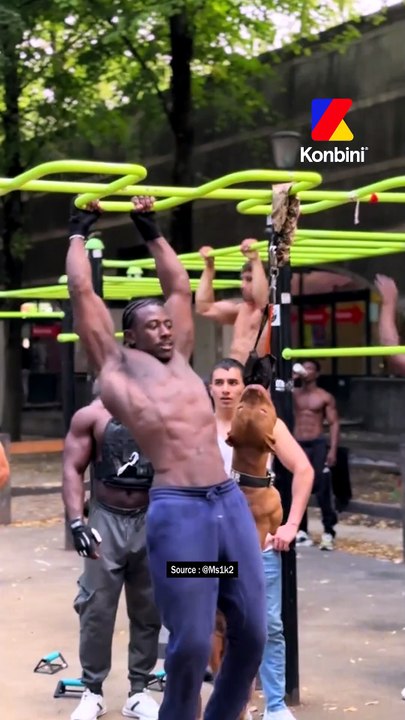 ICI, C’EST BERCY !Ils font peur, ils sont méchants, en plus de ça, ils sont cagoulés… encore faut-il les avoir rencontrés.