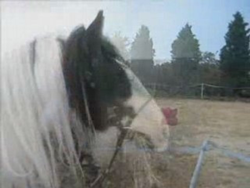 séances du 07 et 08 juin 2008