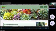 Cacti-Succulent Kuching