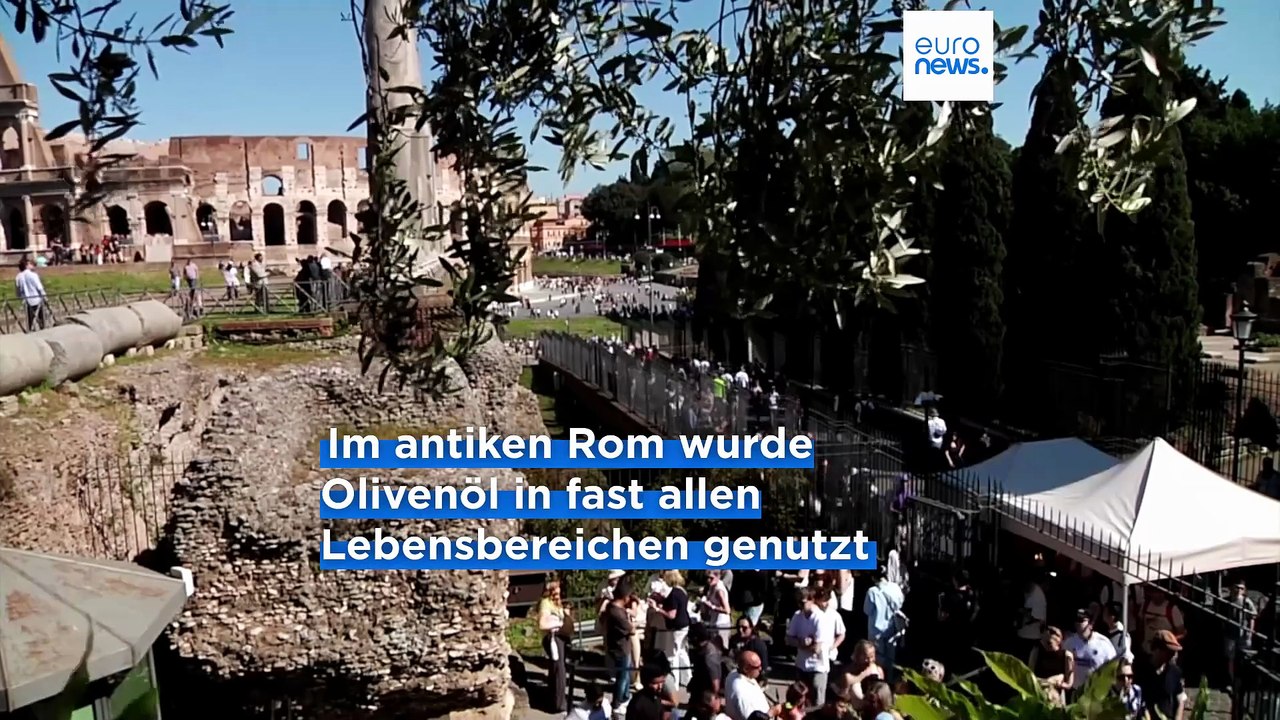 Olivenernte im Kolosseum: Roms Rückkehr zur urbanen Landwirtschaft