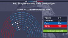 Le Parlement adopte la loi sur la simplification économique et entérine la suppression des ZFE