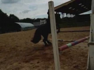 Gizmo à l'obstacle !